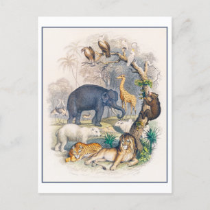 Cartão postal de Ilustração Vintage no Reino Anima