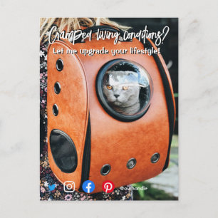 cartão postal de imóveis engraçado gato vivendo ap