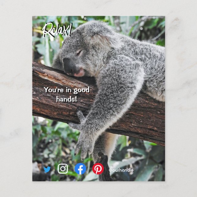 cartão postal de imóveis engraçado relaxado koala (Frente)