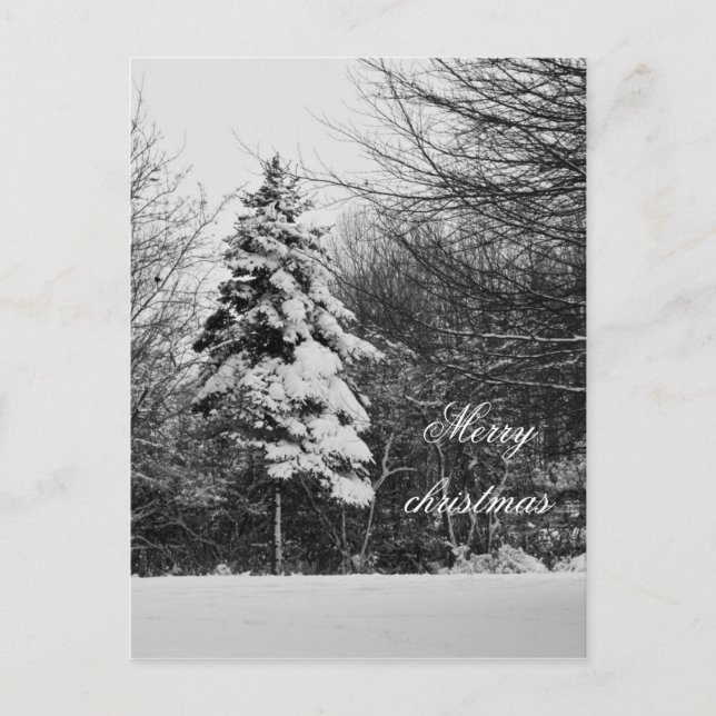 Cartão postal de inverno (Frente)