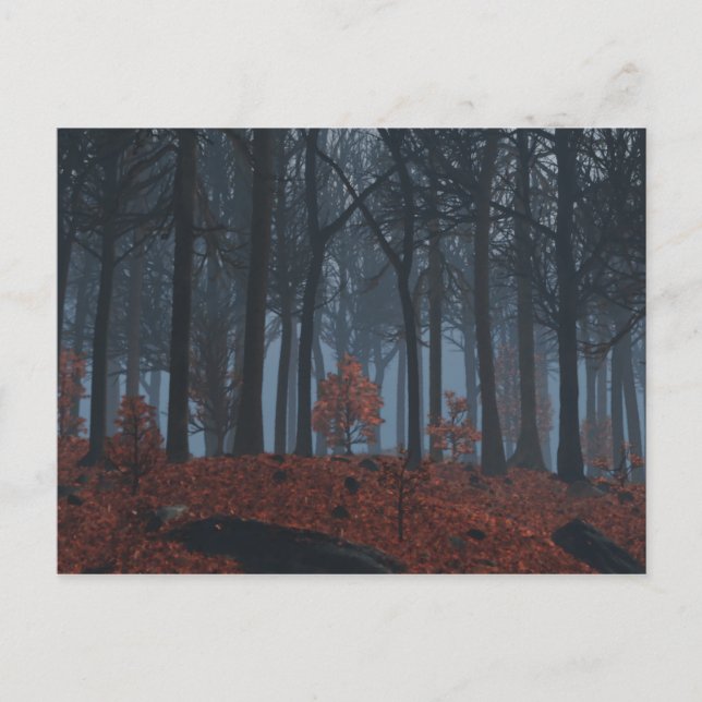 Cartão postal de Inverno (Frente)