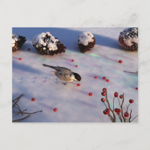 Cartão postal de inverno Chickadee