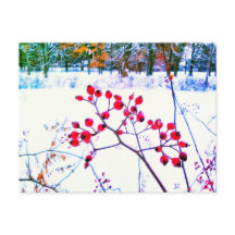 CARTÃO POSTAL DE INVERNO COM FRUTAS VERMELHAS