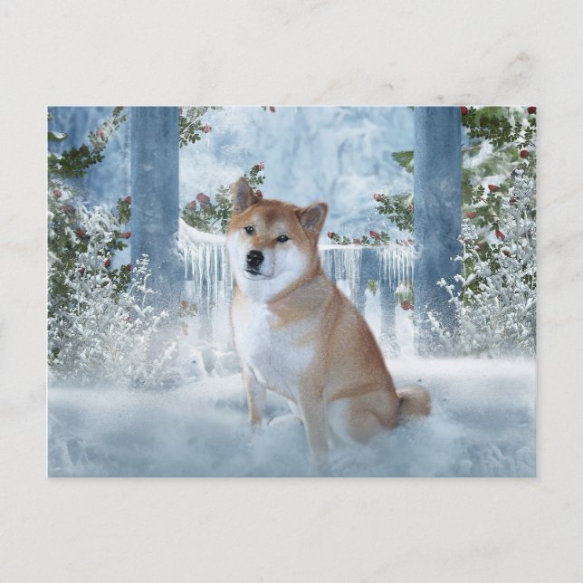 Cartão postal de inverno Shiba Inu (Frente)