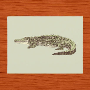 Cartão Postal de Jacaré