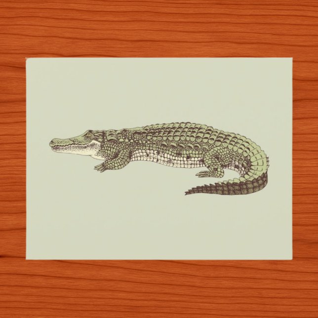 Cartão Postal de Jacaré (Criador carregado)