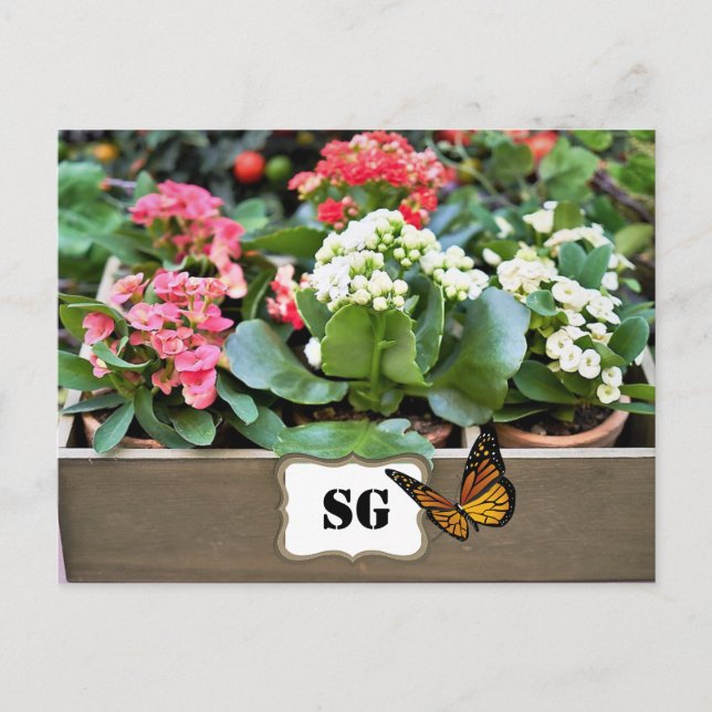 Cartão Postal de Jardim de Flores em Recipiente co (Frente)