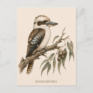 Cartão Postal de Kookaburra Edição Bush