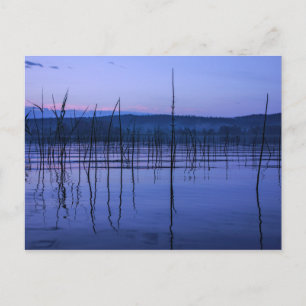 Cartão postal de lago sereno e enevoado após chuva