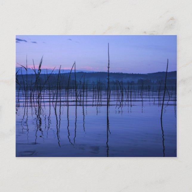 Cartão postal de lago sereno e enevoado após chuva (Frente)