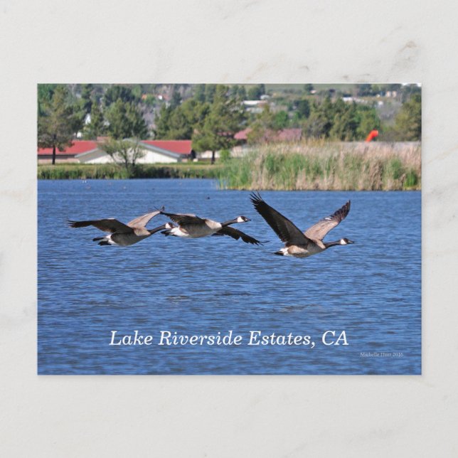Cartão postal de Lake Riverside Estates, CA (Frente)