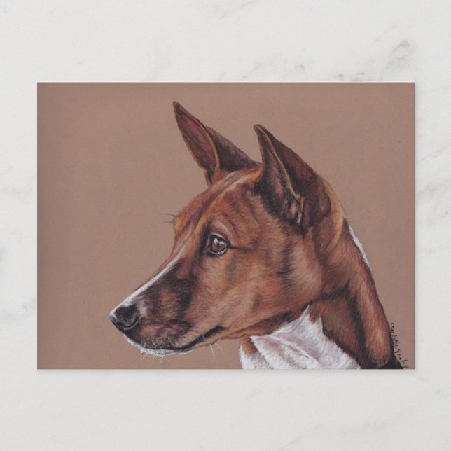 Cartão postal de lápis com cores Basenji (Frente)