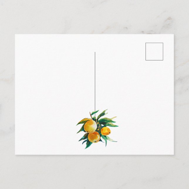 Cartão postal de laranjas e flores (Verso)