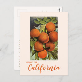 Cartão postal de laranjas vintage do sul da Califó