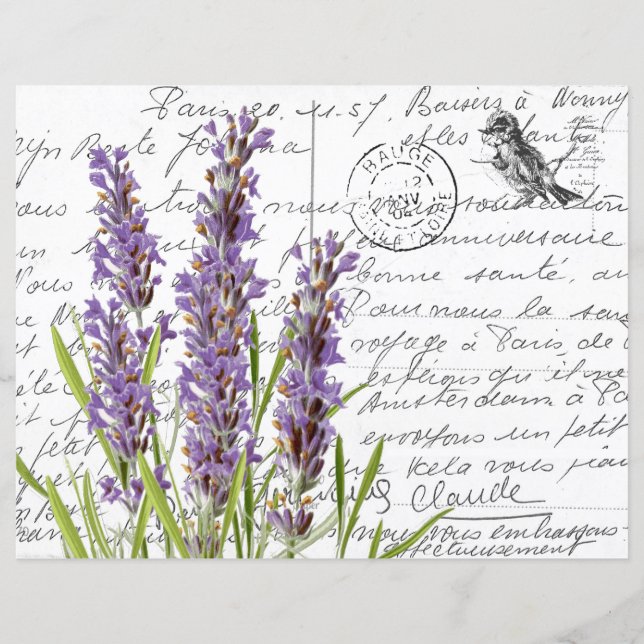 Cartão-postal de Lavanda da Vintage em francês (Frente)