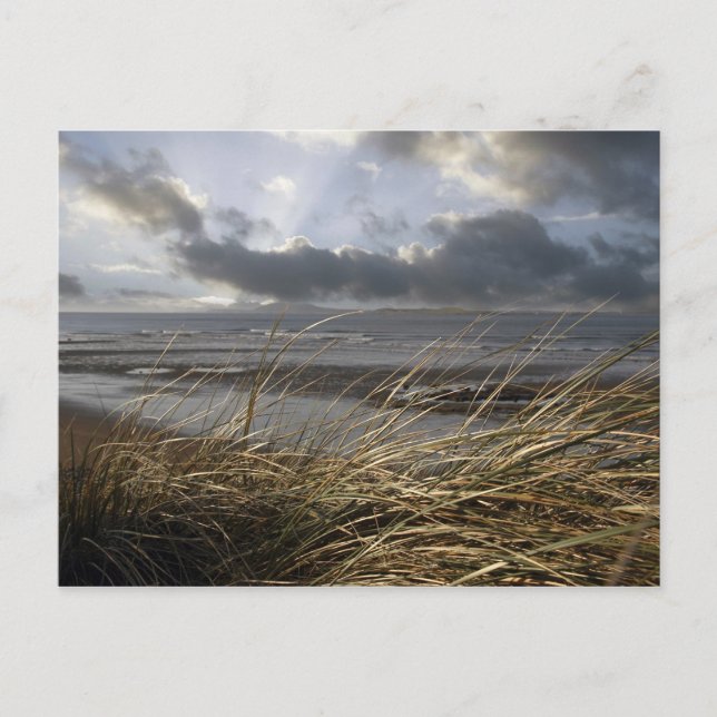 cartão postal de leitura (Frente)