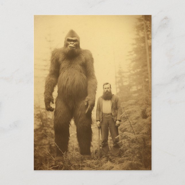Cartão Postal de Lenhador Sasquatch (Frente)