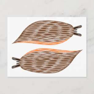 Cartão Postal de Lesmas