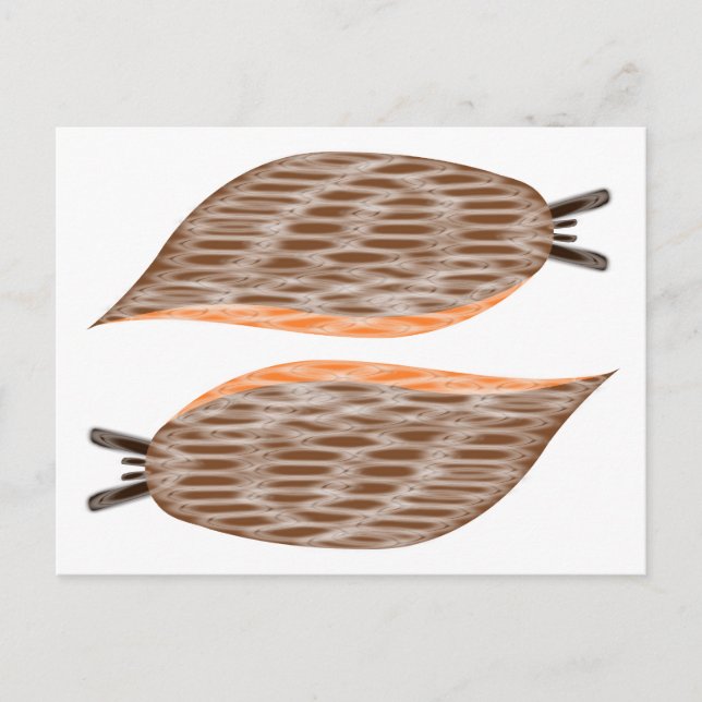 Cartão Postal de Lesmas (Frente)