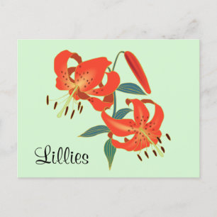 Cartão postal de Lillies Vermelhas com Calendário 