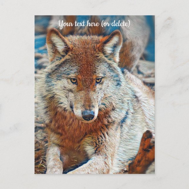 Cartão Postal de Lobo (Frente)