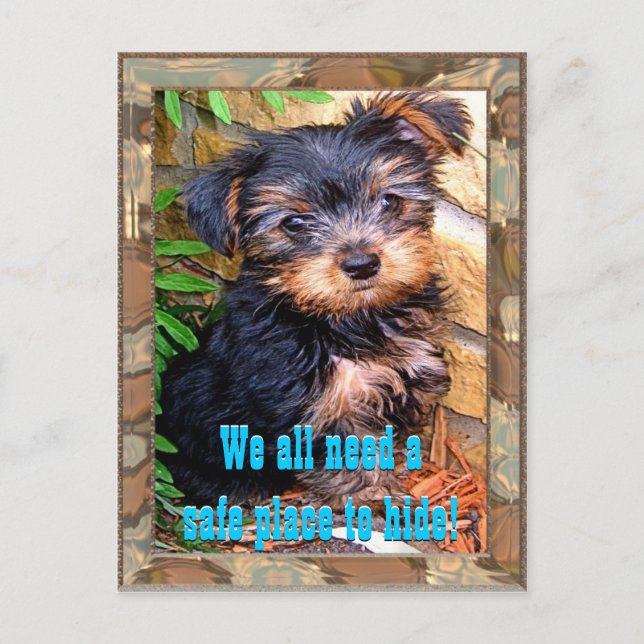 Cartão postal de local seguro (Frente)