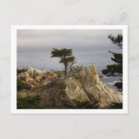 Cartão postal de Lone Cyprus