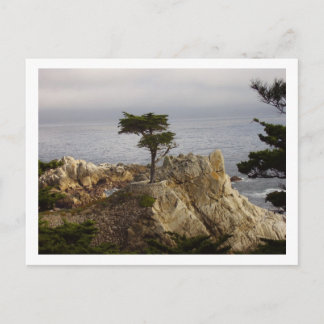 Cartão postal de Lone Cyprus