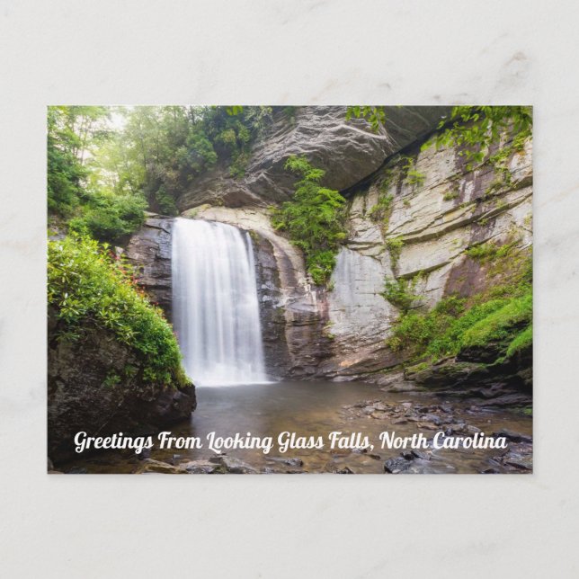 Cartão Postal de Looking Glass Falls (Frente)