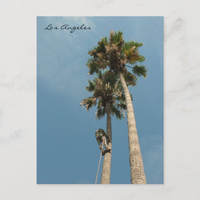 Cartão postal de Los Angeles divertido! (Frente)