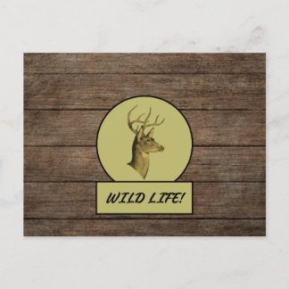 Cartão postal de madeira escura Buck Head