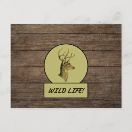 Cartão postal de madeira escura Buck Head