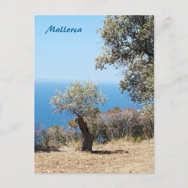 Cartão Postal de Maiorca (Frente)