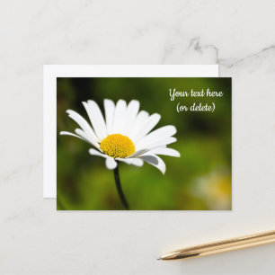 Cartão postal de margarida única
