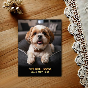 Cartão Postal de Melhoras Adorável Shih Tzu