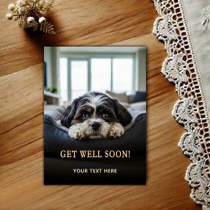Cartão Postal de Melhoras Adorável Shih Tzu