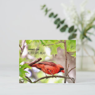 Cartão postal de Melhores Dias Estão por Vir