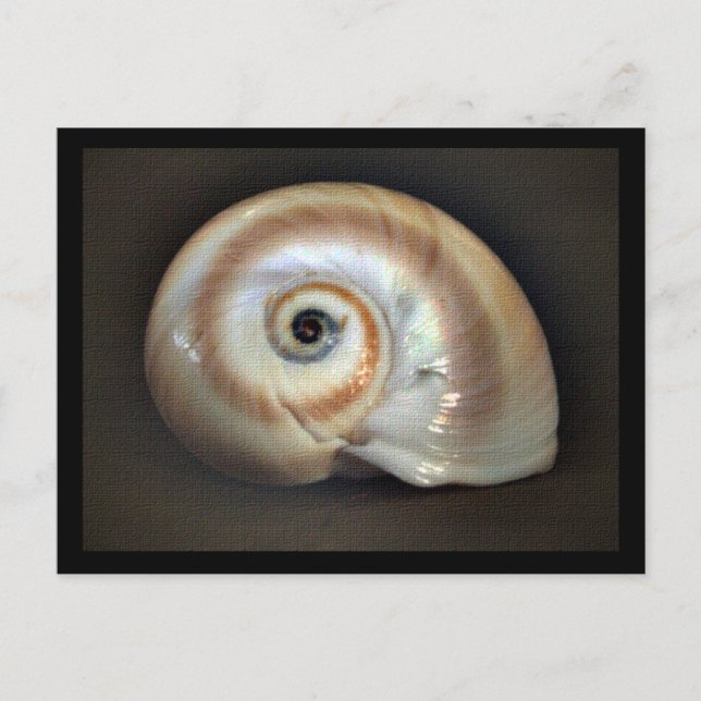 Cartão postal de memória em praia (Frente)