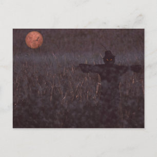 Cartão postal de milho assombrado