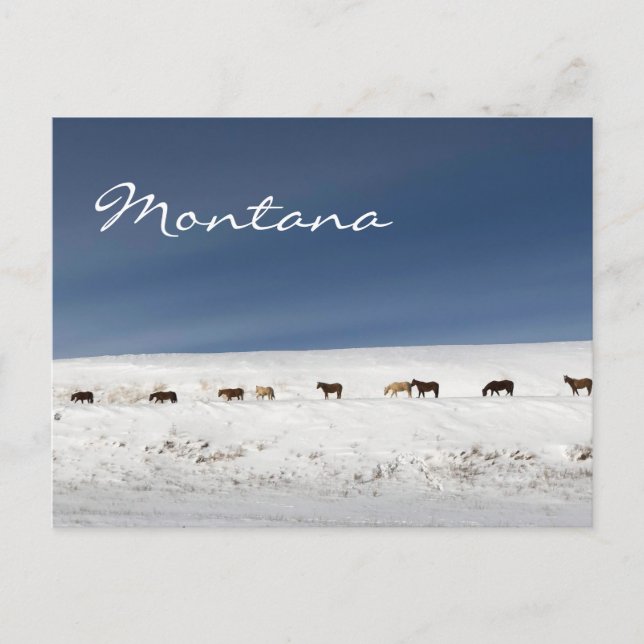 Cartão postal de Montana (Frente)
