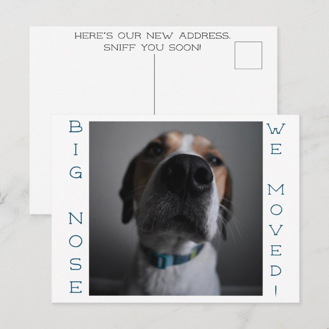 Cartão postal de mudança de endereço do cachorro d (Frente/Verso)
