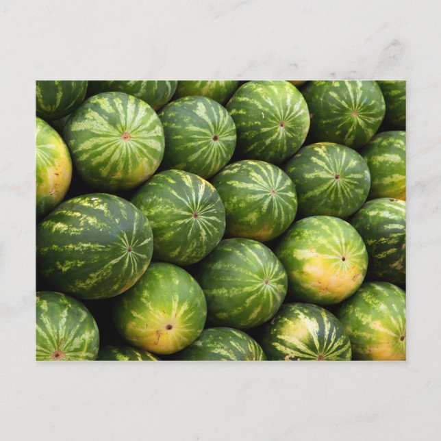 Cartão postal de muitas melancias (Frente)