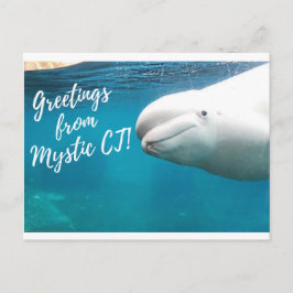 Cartão postal de Mystic CT - Burger Post Art #004 