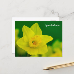 Cartão postal de Narciso