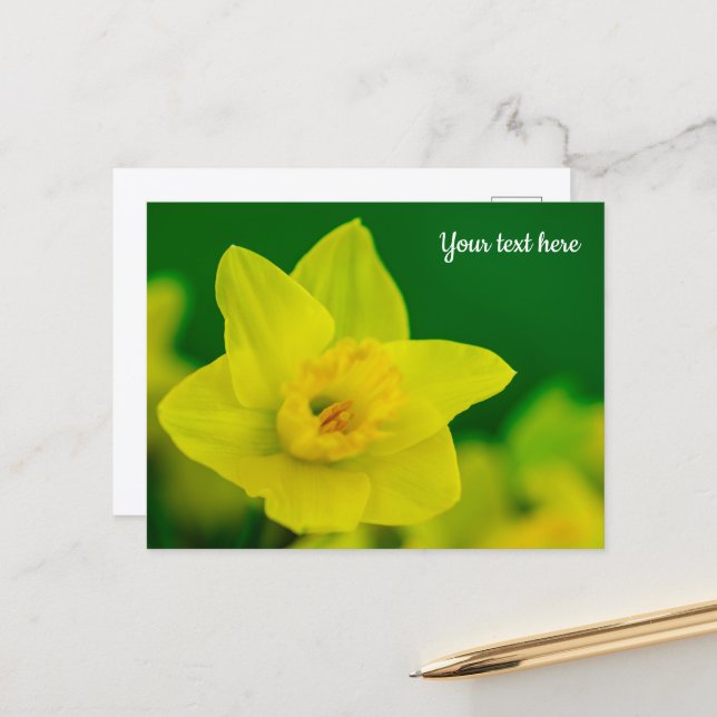 Cartão postal de Narciso (Frente/Verso In Situ)