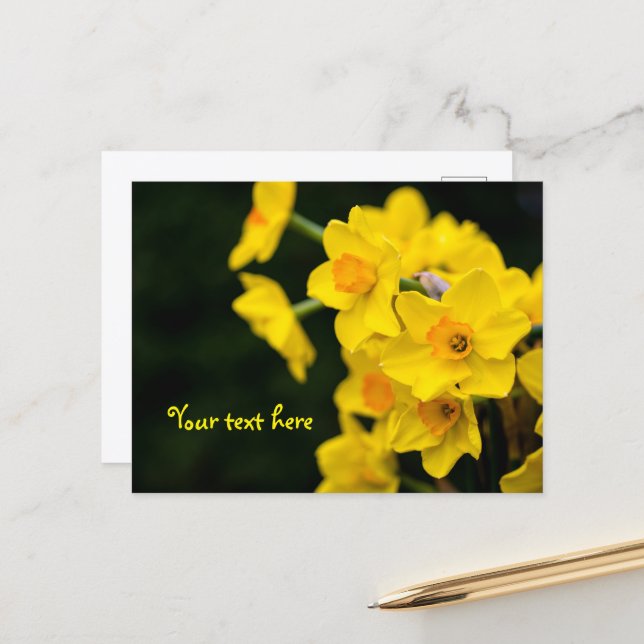 Cartão postal de Narcisos (Frente/Verso In Situ)