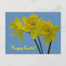 Cartão postal de narcisos "Feliz Páscoa"
