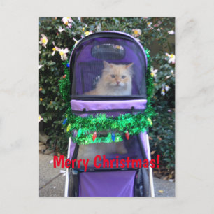 Cartão postal de Natal