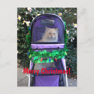 Cartão postal de Natal