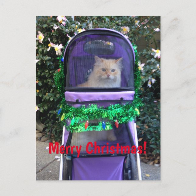 Cartão postal de Natal (Frente)